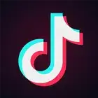 TikTok v34.1.6 MOD APK (Premium + Plugin)