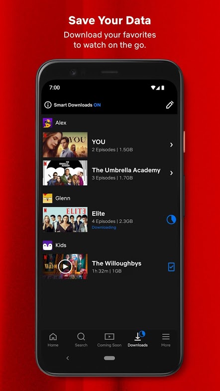 Netflix Mod Apk