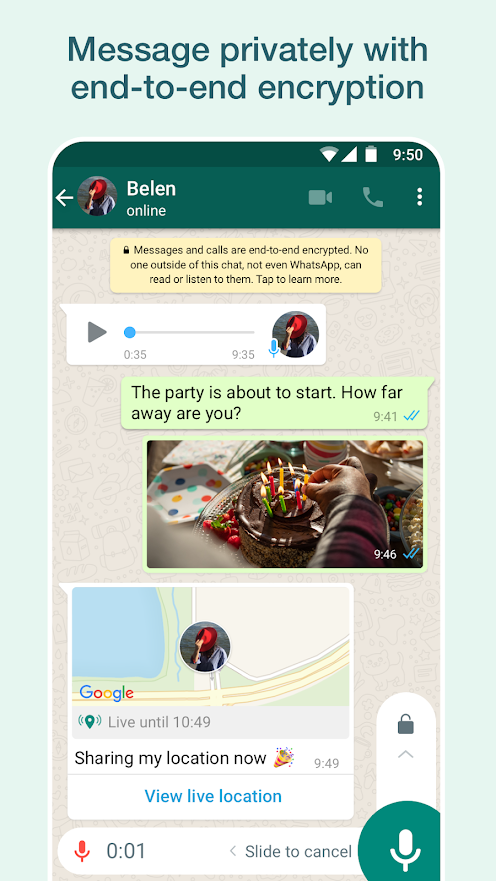 WhatsApp pro apk